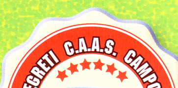 File:Caas1.jpg