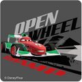"Open Wheel"