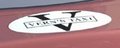 Thumbnail for version as of 14:13, 1 April 2024